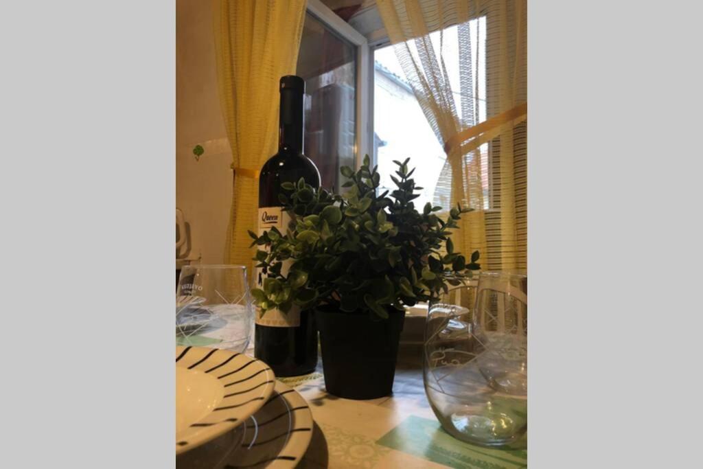 סנג' Apartman Kadic Senj מראה חיצוני תמונה